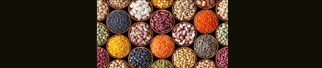 Free Shipping Pulses & Lentils