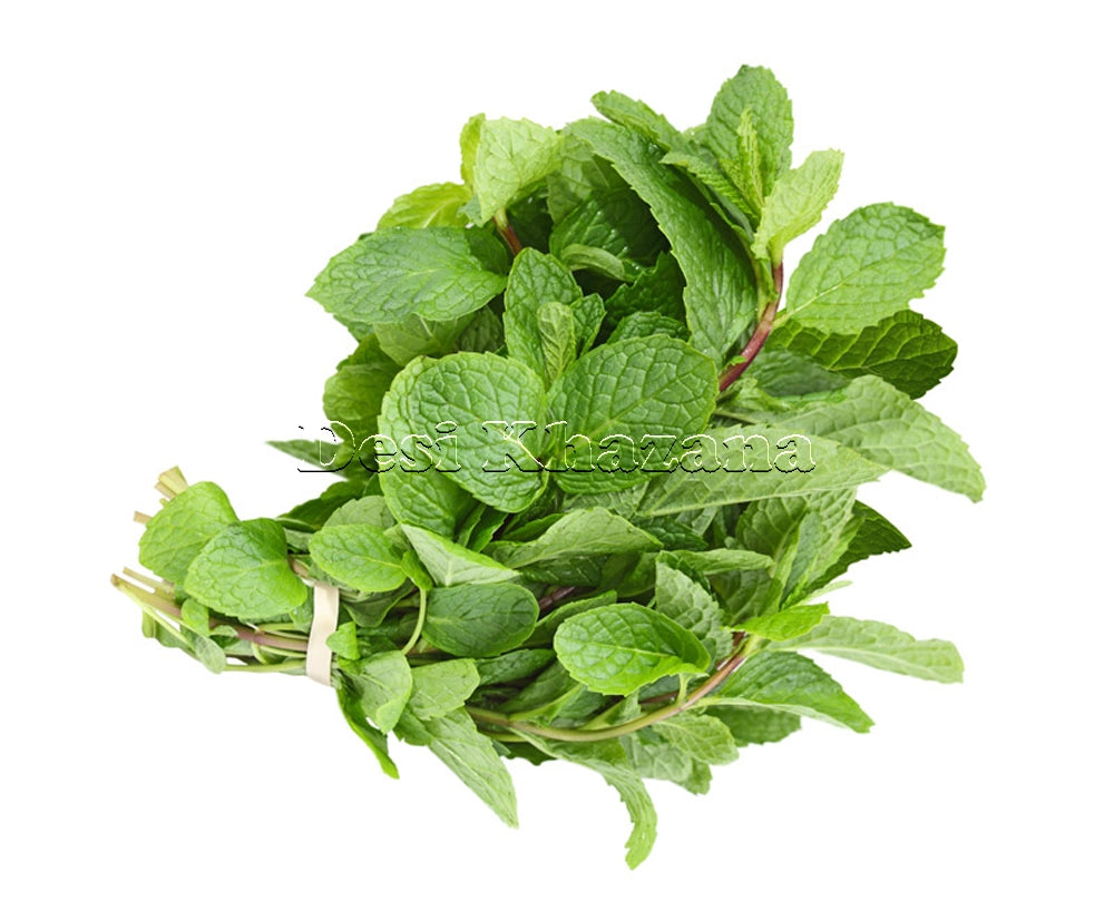 Mint Leaves or Pudina - Desi Khazana