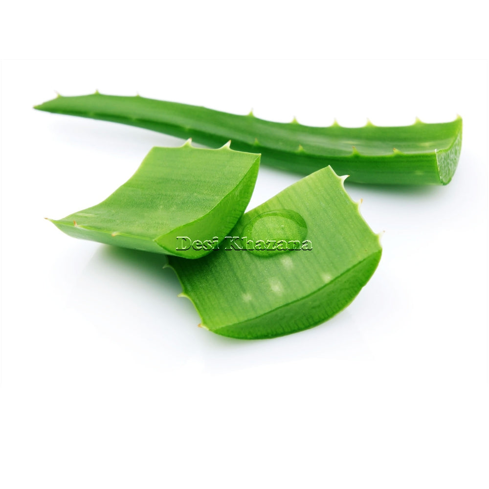 Fresh Aloe Vera Leaf (Large) - Desi Khazana