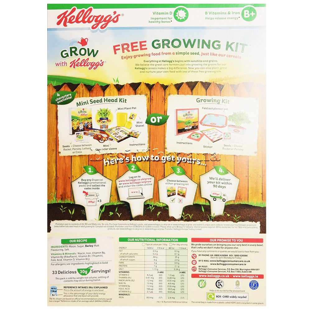 Kellogg's Corn Flakes BIG 1 Kg Pack - Desi Khazana