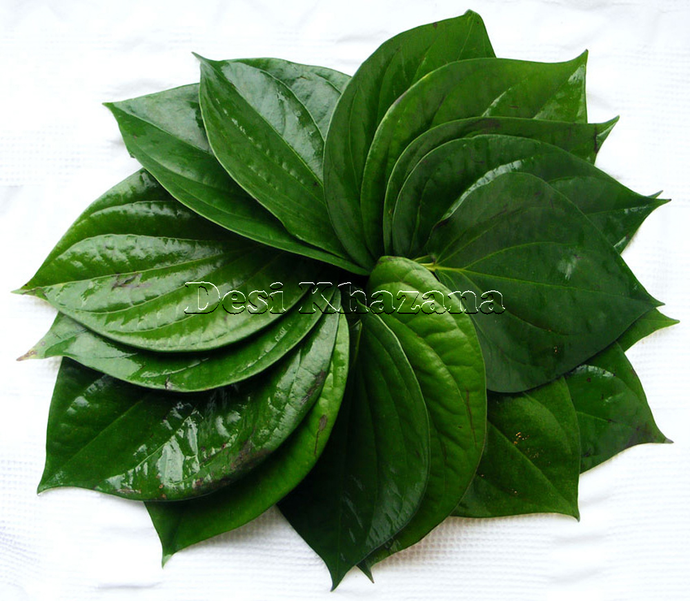 Betal Leaf (10 Leaves in a Pack) - Desi Khazana